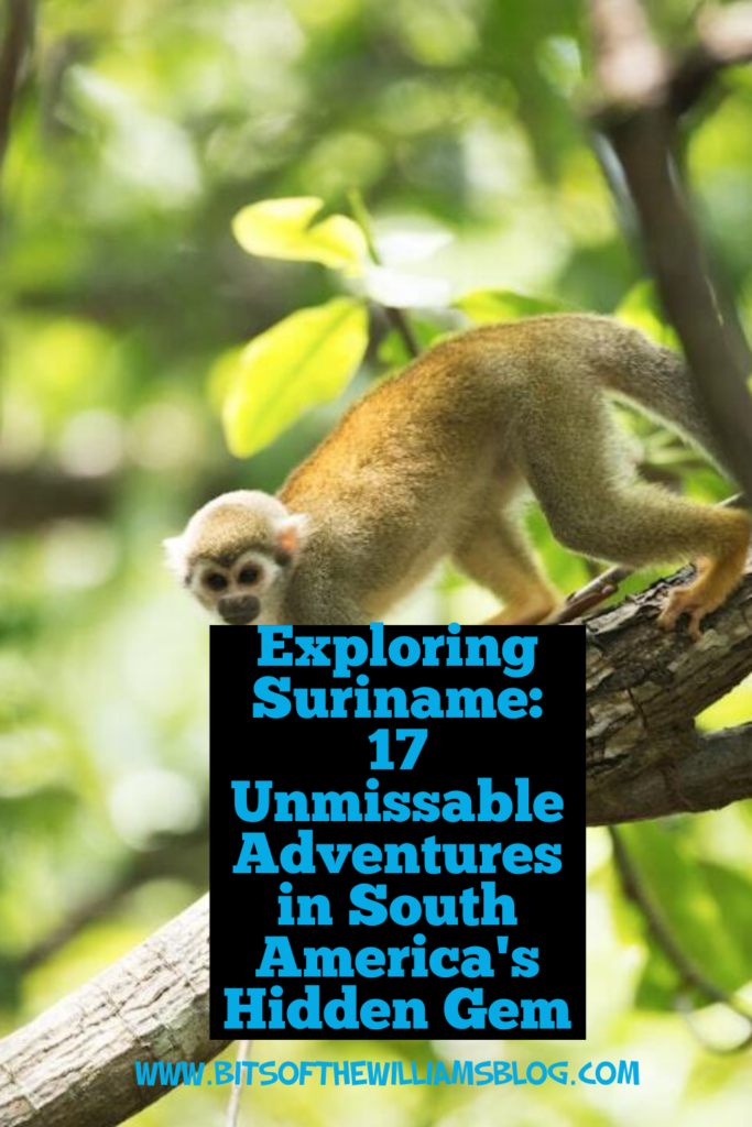 Exploring Suriname: 17 Unmissable Adventures in South America's Hidden Gem