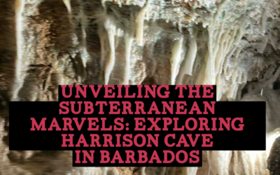 Unveiling the Subterranean Marvels: Exploring Harrison Cave in Barbados