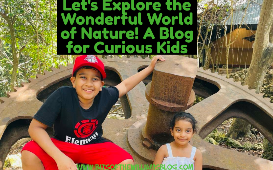 Let's Explore the Wonderful World of Nature! A Blog for Curious Kids