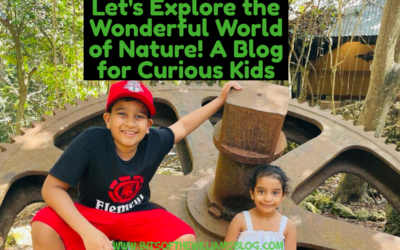 Let’s Explore the Wonderful World of Nature! A Blog for Curious Kids